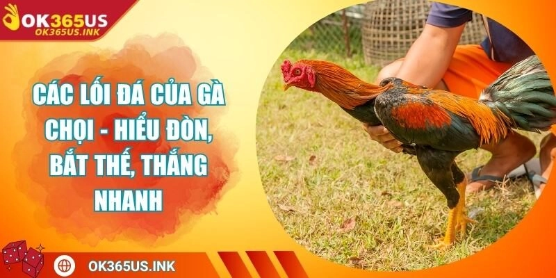 Các Lối Đá Của Gà Chọi - Hiểu Đòn, Bắt Thế, Thắng Nhanh