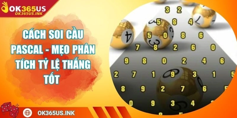 Cách Soi Cầu Pascal - Mẹo Phân Tích Tỷ Lệ Thắng Tốt