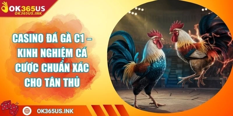 Casino Đá Gà C1 – Kinh Nghiệm Cá Cược Chuẩn Xác Cho Tân Thủ