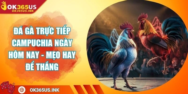 Đá Gà Trực Tiếp Campuchia Ngày Hôm Nay - Mẹo Hay Để Thắng