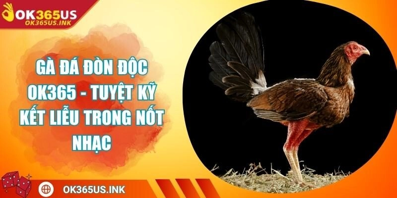 Gà Đá Đòn Độc OK365 - Tuyệt Kỹ Kết Liễu Trong Nốt Nhạc