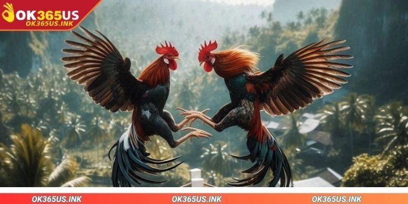 Lưu ngay tips chơi hiệu quả từ cao thủ